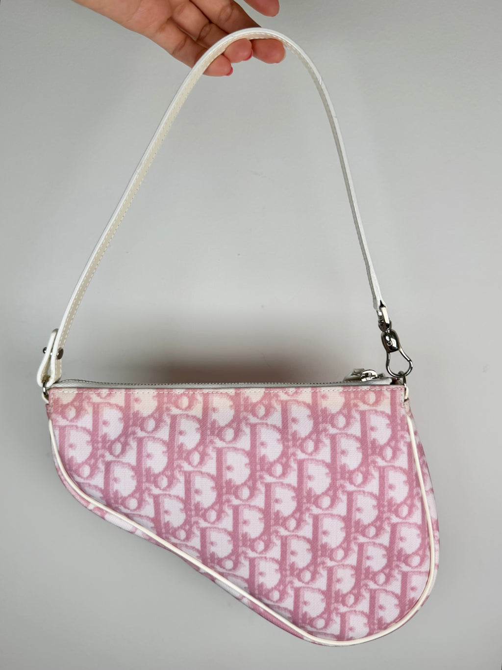 Christian Dior Trotter Monogram Saddle Pochette
