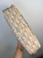 Christian Dior Embroidered Trotter Camera Bag