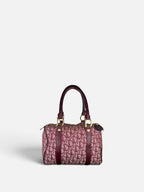 Christian Dior Trotter Small Boston Bag