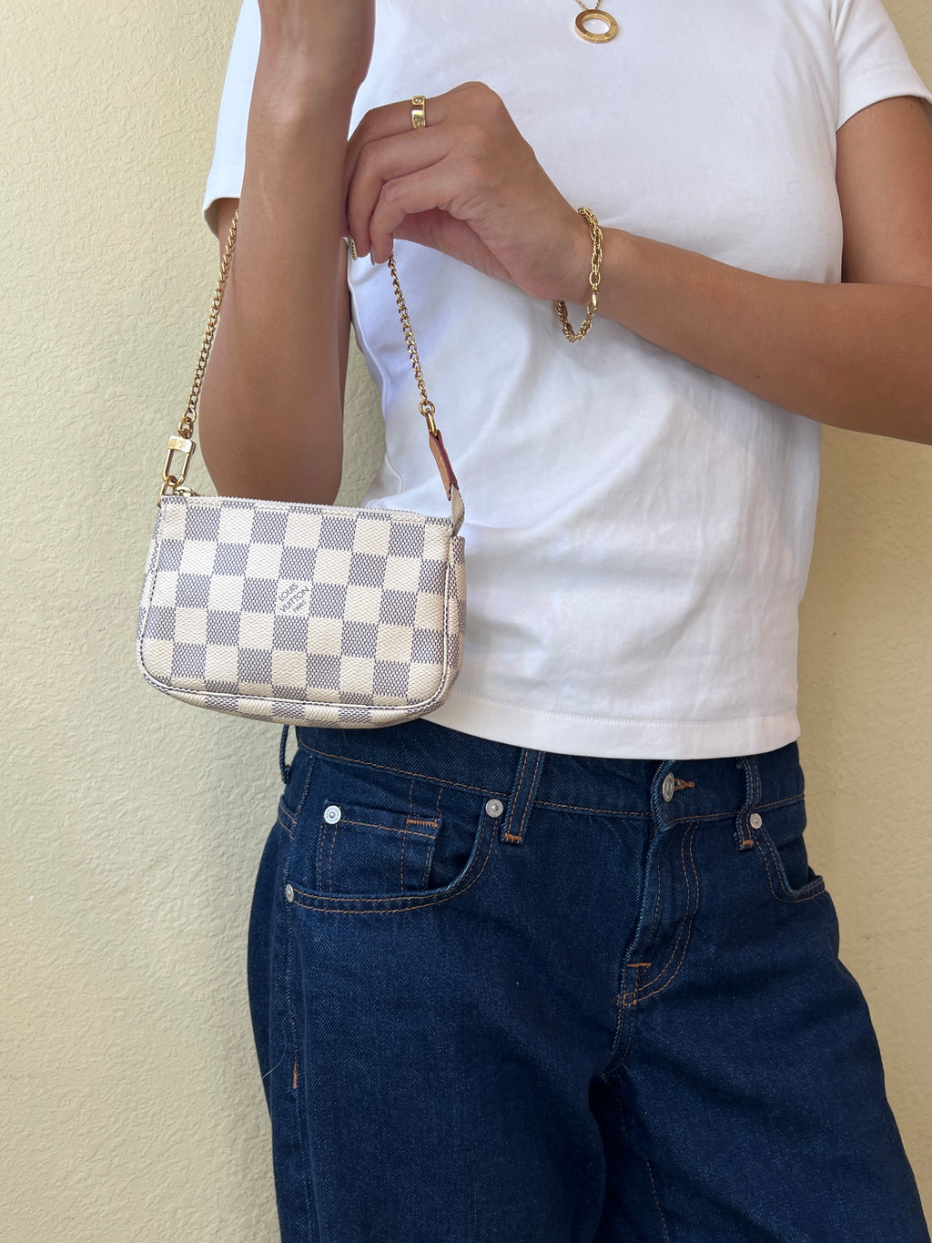 Louis Vuitton Pochette Accessoires Mini in Damier Ebene