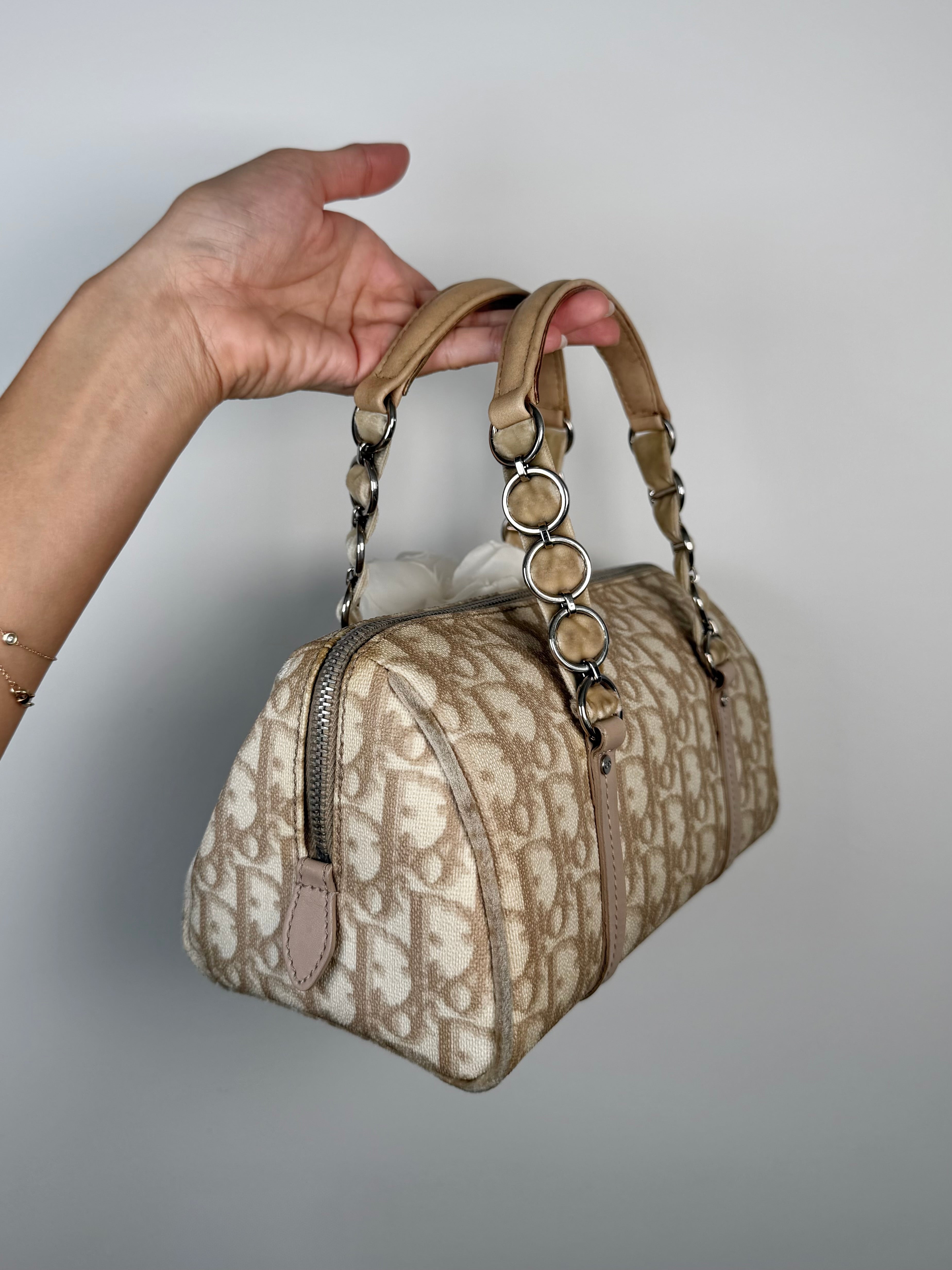 Christian Dior Trotter Romantique Bag