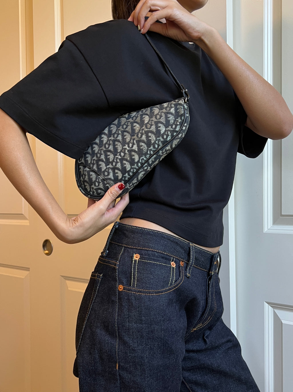 Christian Dior Trotter Monogram Saddle Pochette Bag