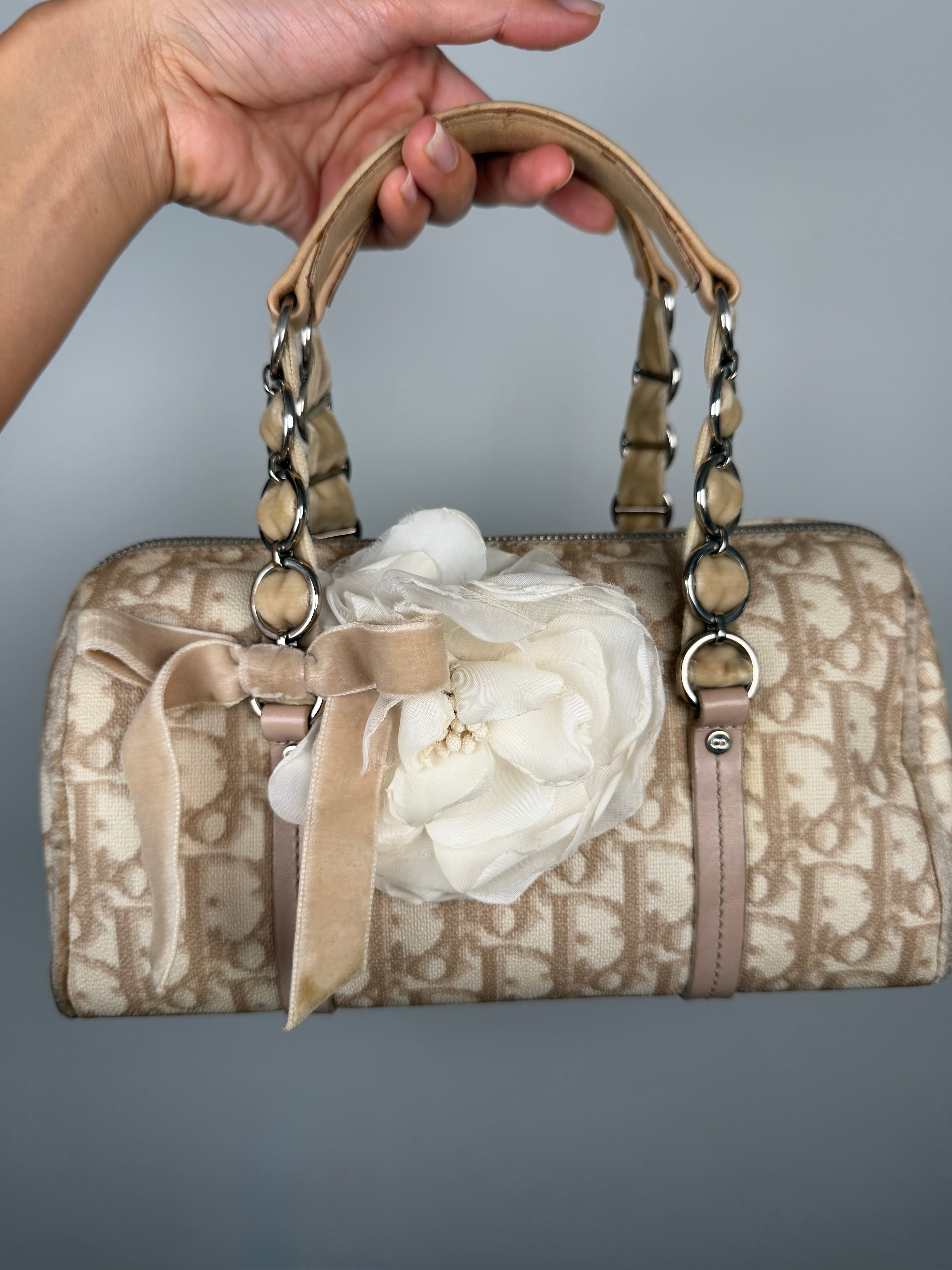 Christian Dior Trotter Romantique Bag