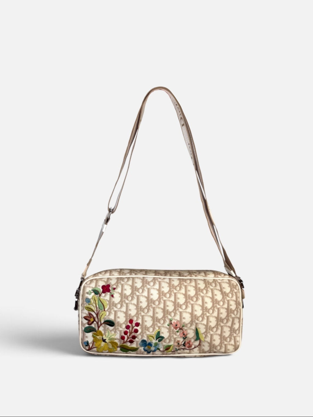 Christian Dior Embroidered Trotter Camera Bag