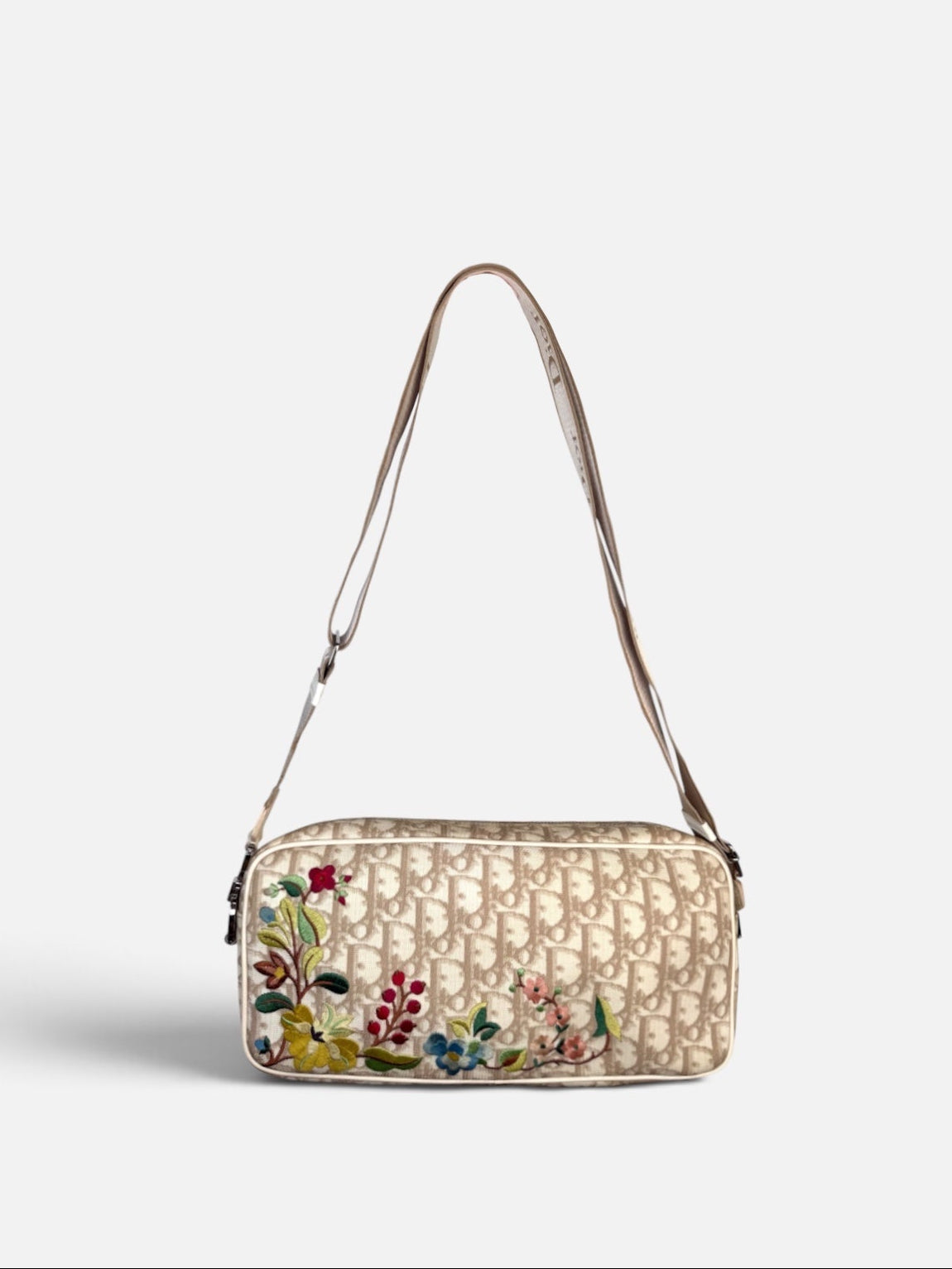 Christian Dior Embroidered Trotter Camera Bag