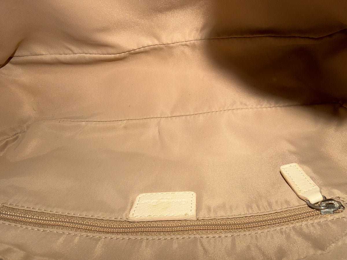 Christian Dior Embroidered Trotter Camera Bag