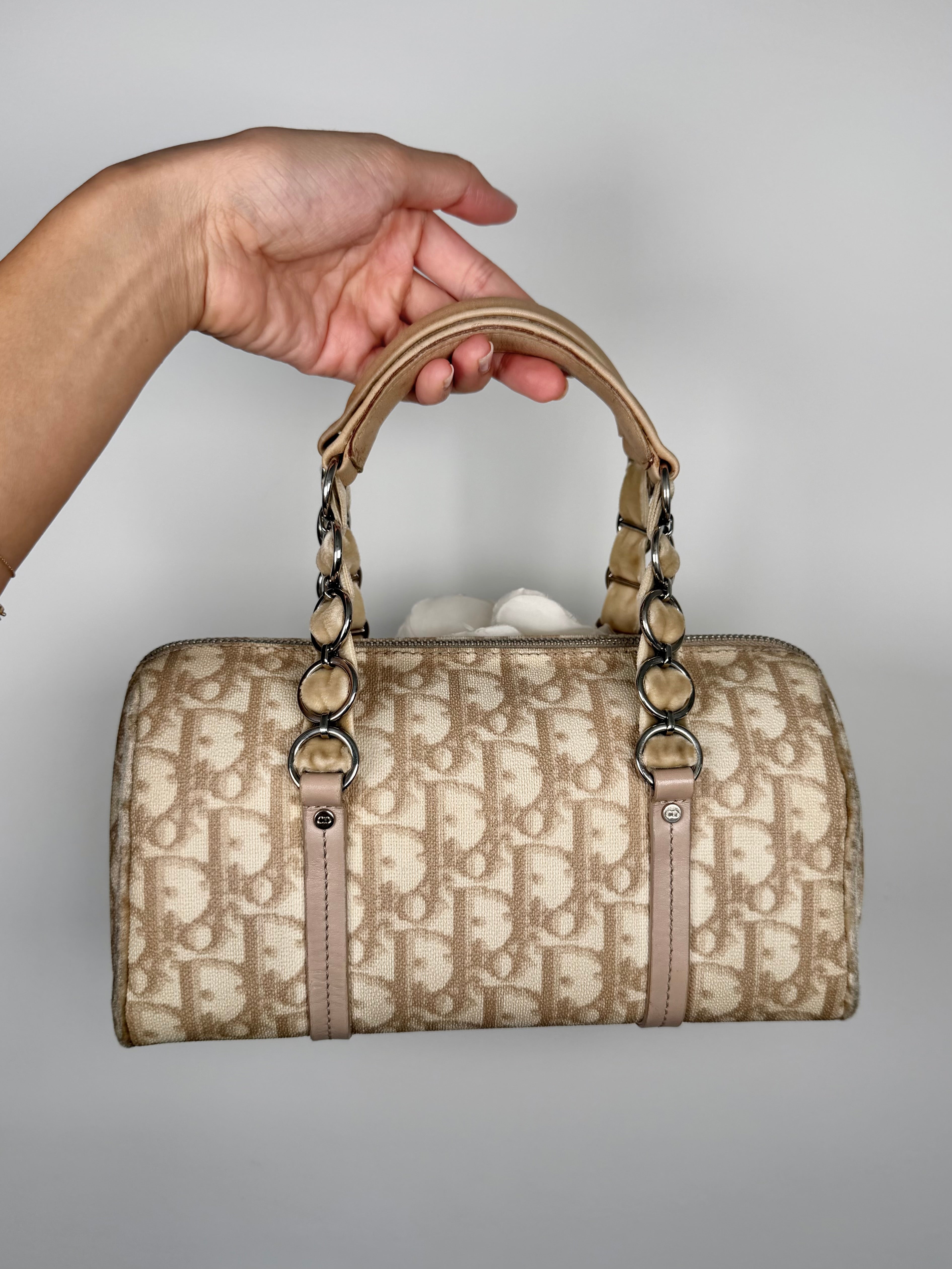 Christian Dior Trotter Romantique Bag