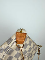 Louis Vuitton Pochette Accessoires Mini in Damier Ebene