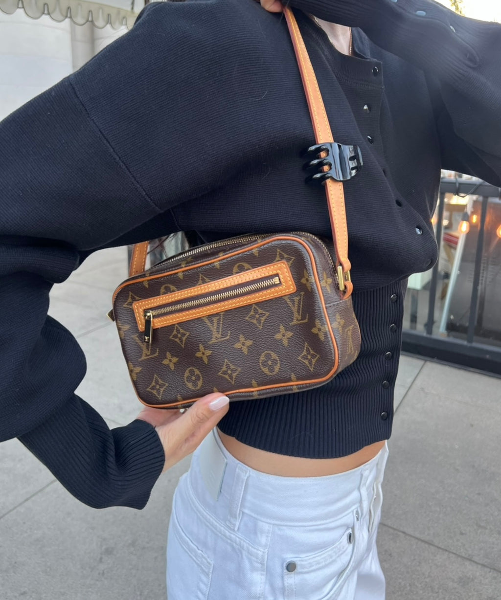 Louis Vuitton Cité Pochette
