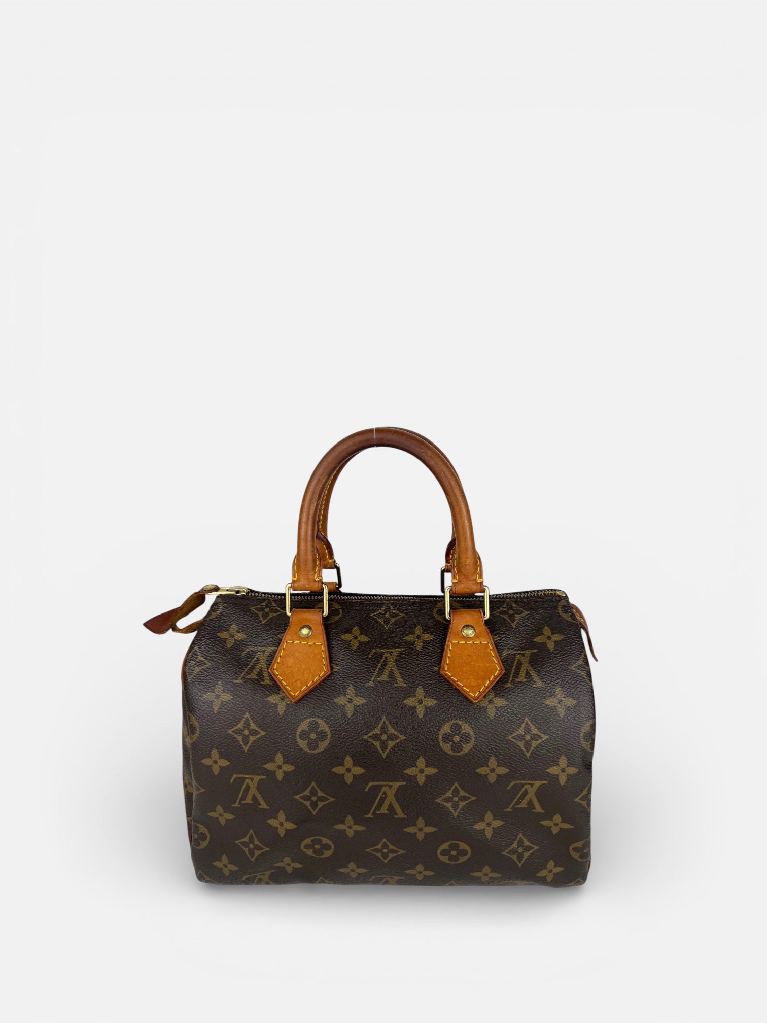 Louis Vuitton Speedy 25 in Monogram Canvas