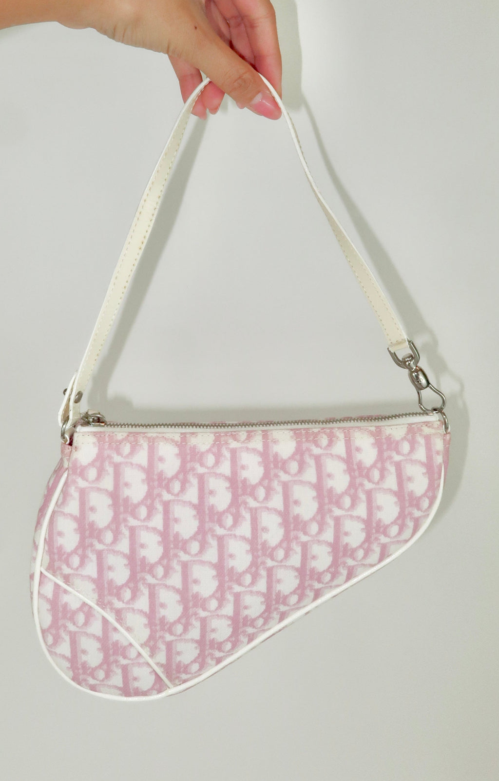 Christian Dior Trotter Monogram Saddle Pochette